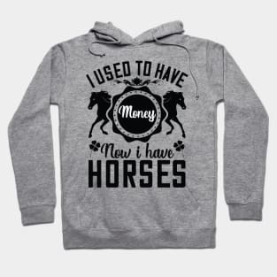 I used to have money now I have horses Hoodie